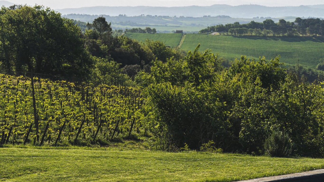 Photo of Outdoor in Monte Vibiano Vecchio