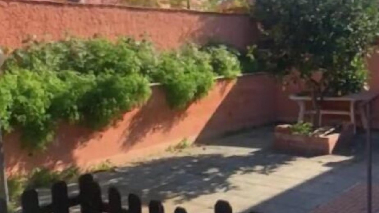 Photo of Patio Balcony in Zona XXXIII Acilia Sud