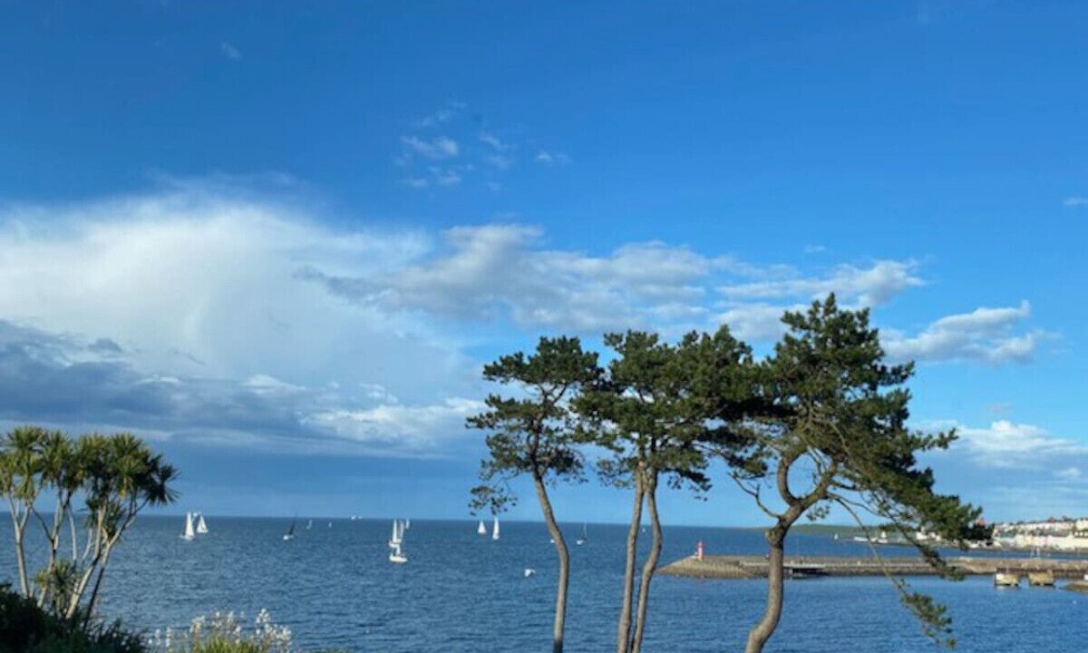 Photo of Others in Bangor