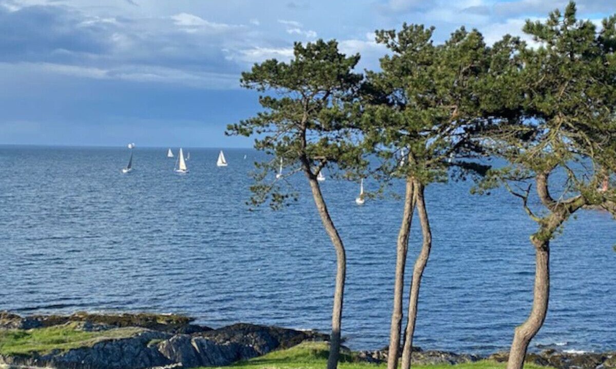 Photo of Others in Bangor