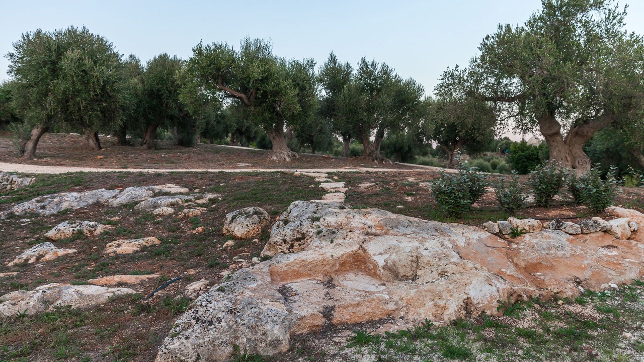 Photo of Outdoor in Cisternino