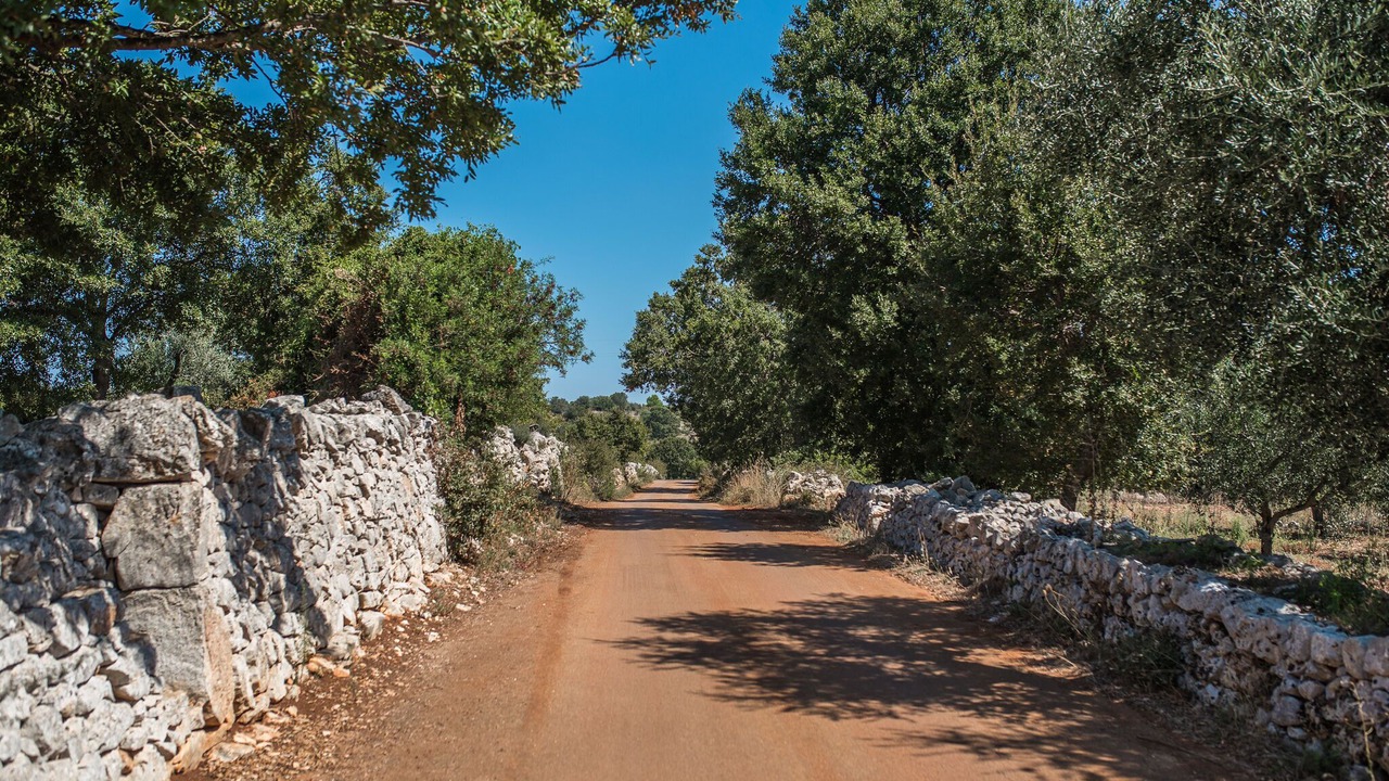 Photo of Outdoor in Cisternino