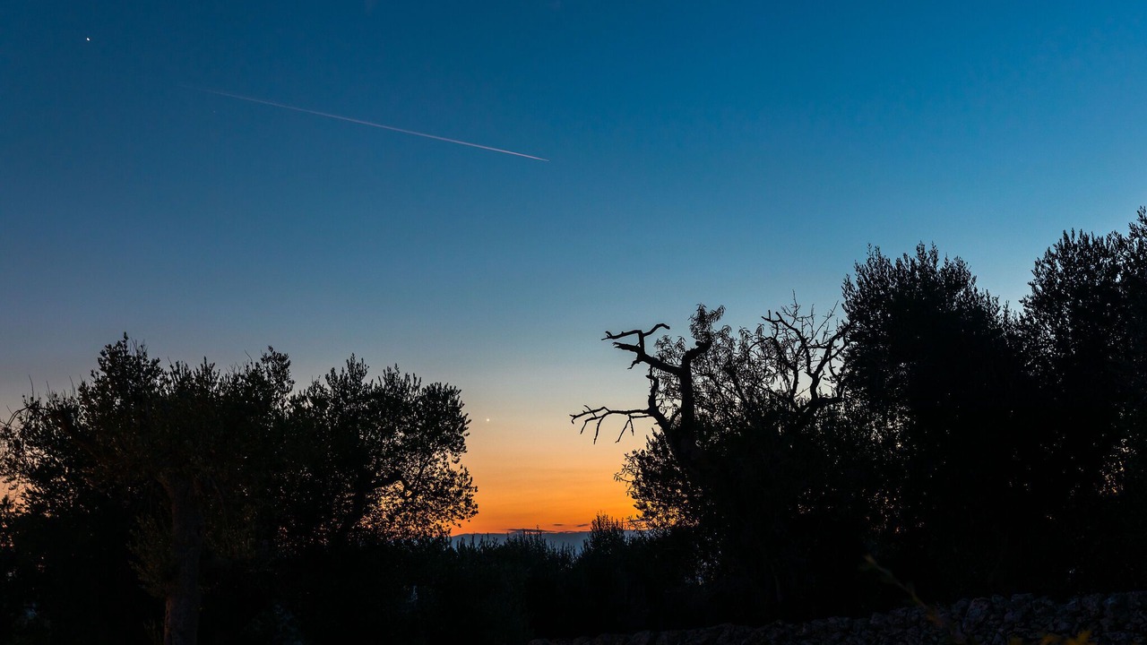 Photo of Others in Cisternino