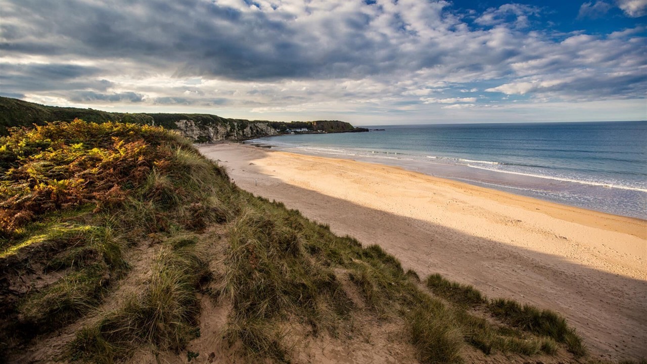 Photo of Others in Ballycastle