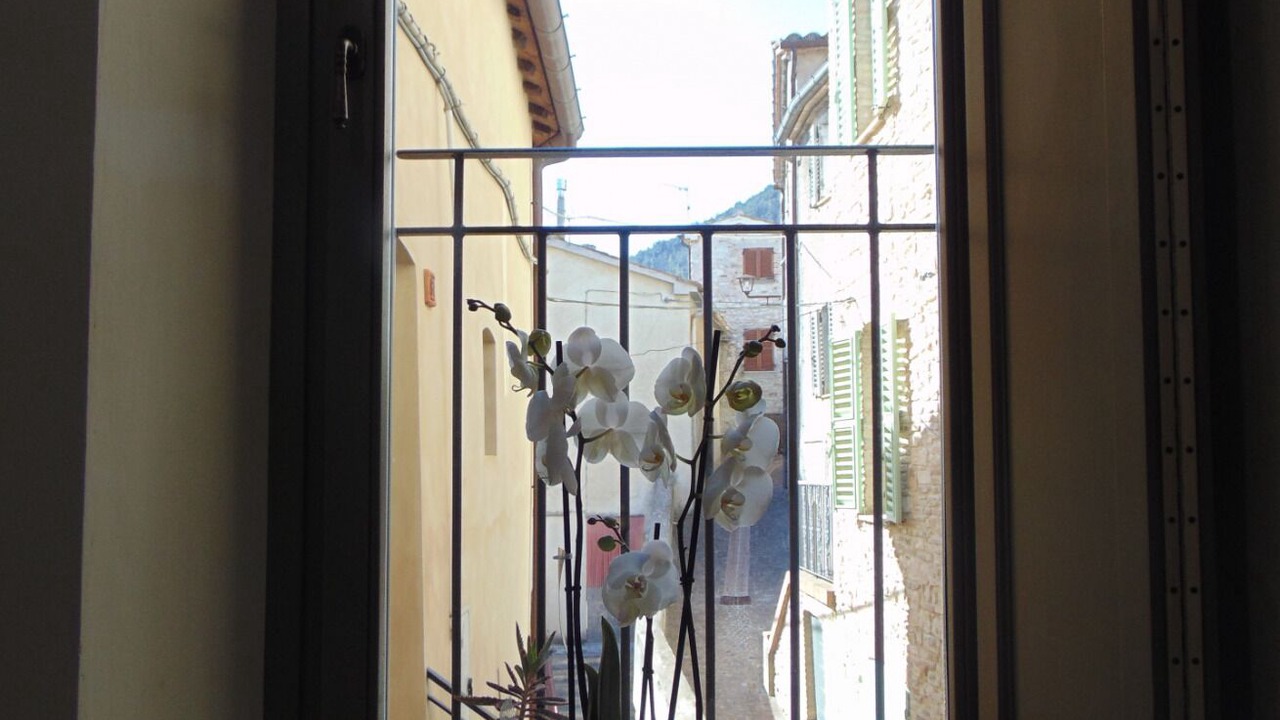 Photo of Others in Arcevia