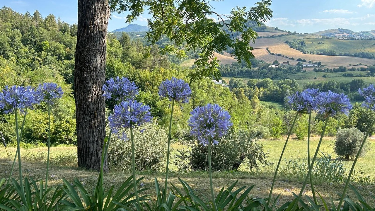 Photo of Others in Montelparo