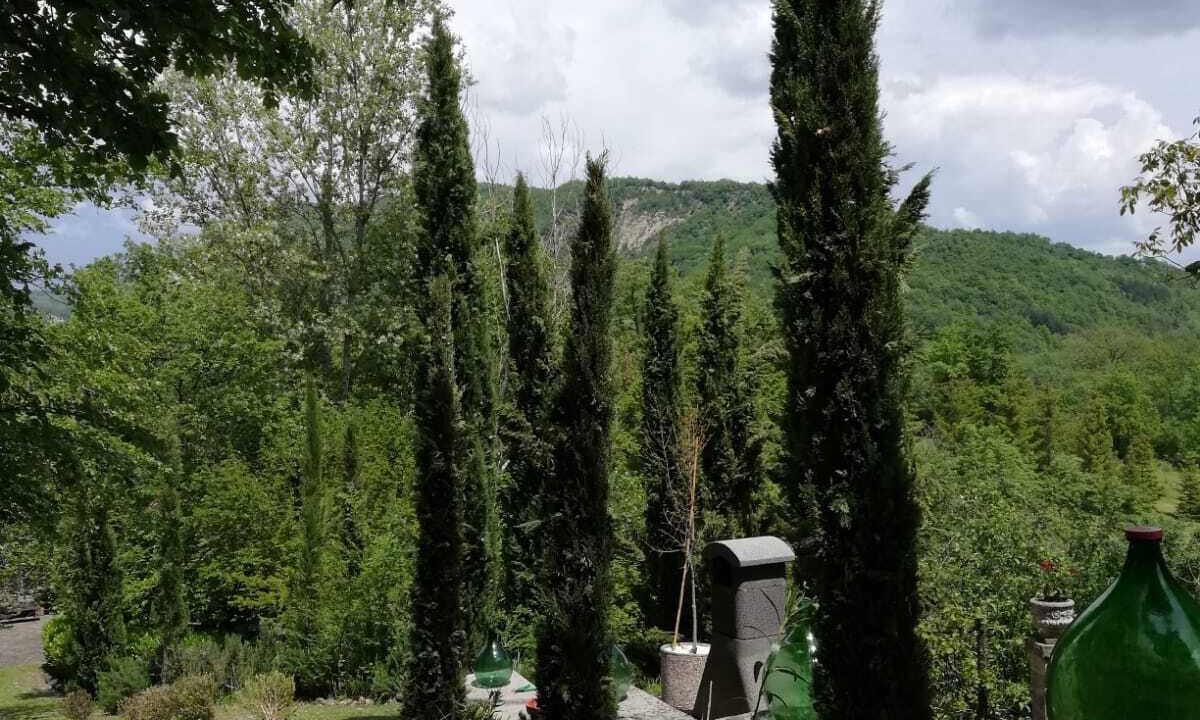 Photo of Outdoor in Caprese Michelangelo
