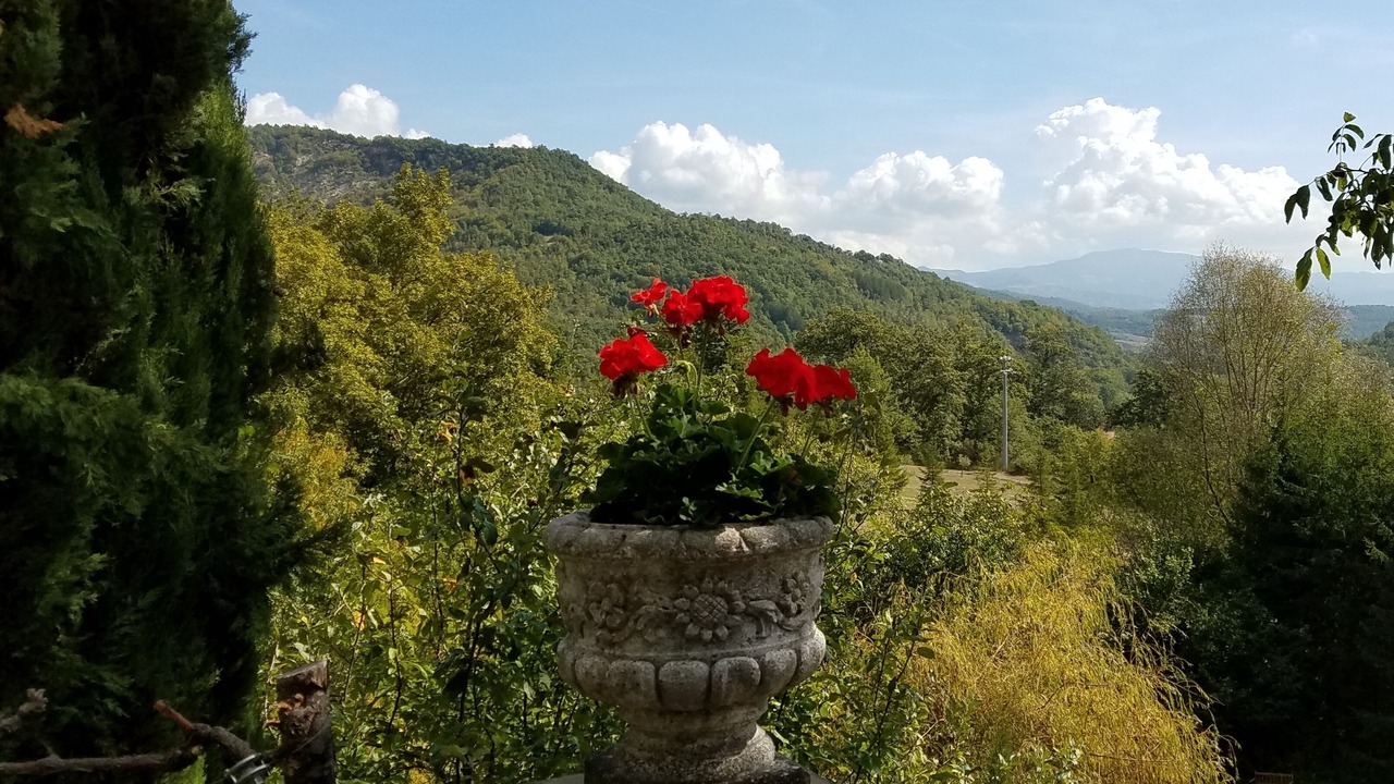 Photo of Outdoor in Caprese Michelangelo