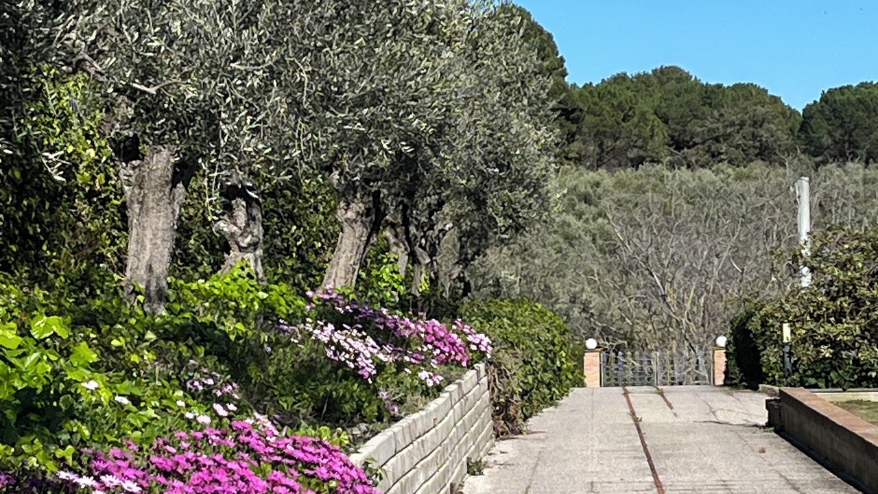 Photo of Outdoor in San Martino Bassa