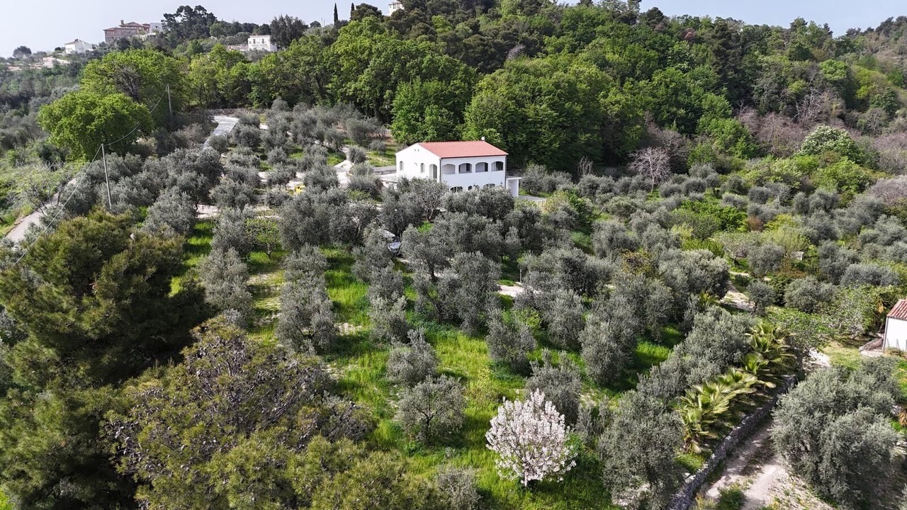 Photo of Outdoor in Vico del Gargano