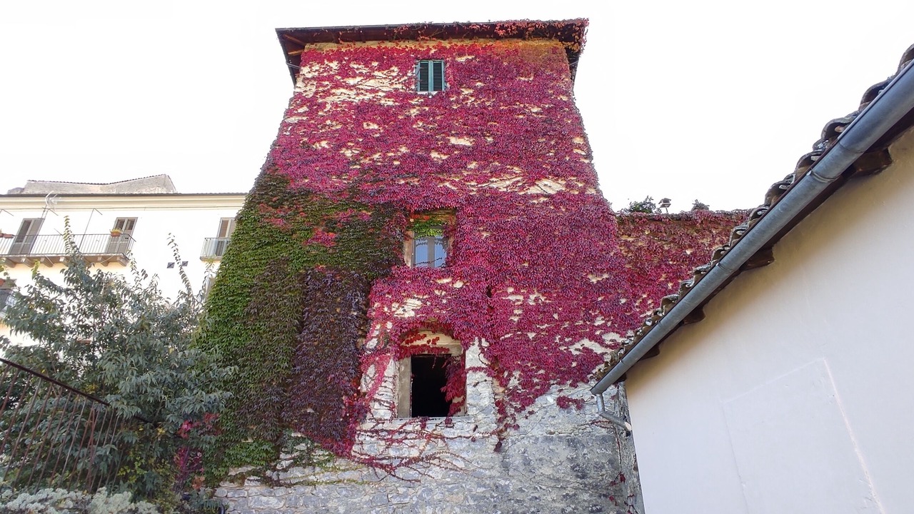 Photo of Outdoor in Capestrano
