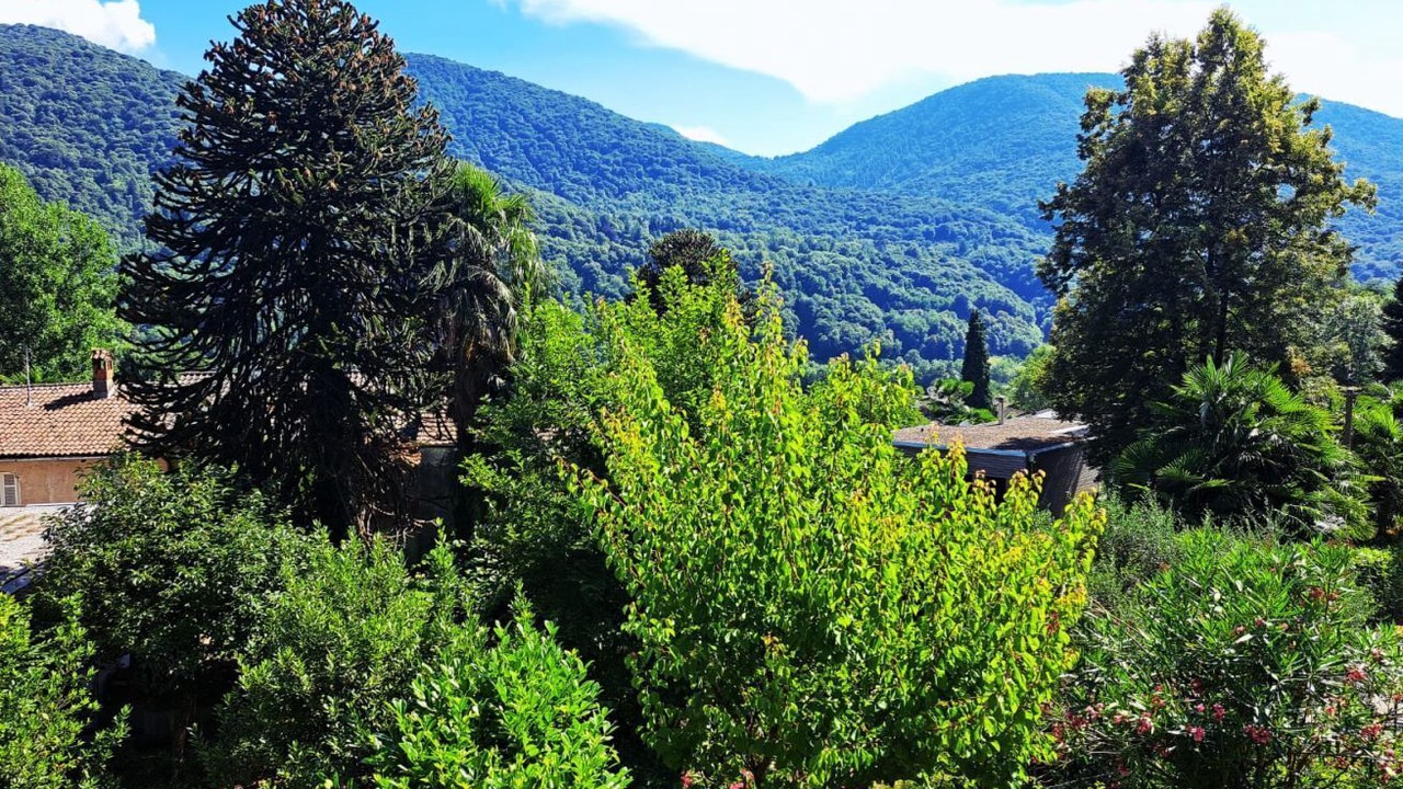 Photo of Others in Monteggio