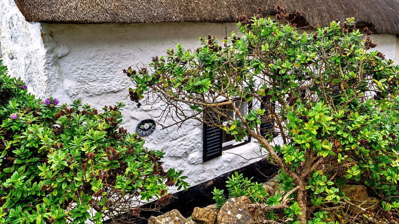 Photo of Others in Sennen Cove