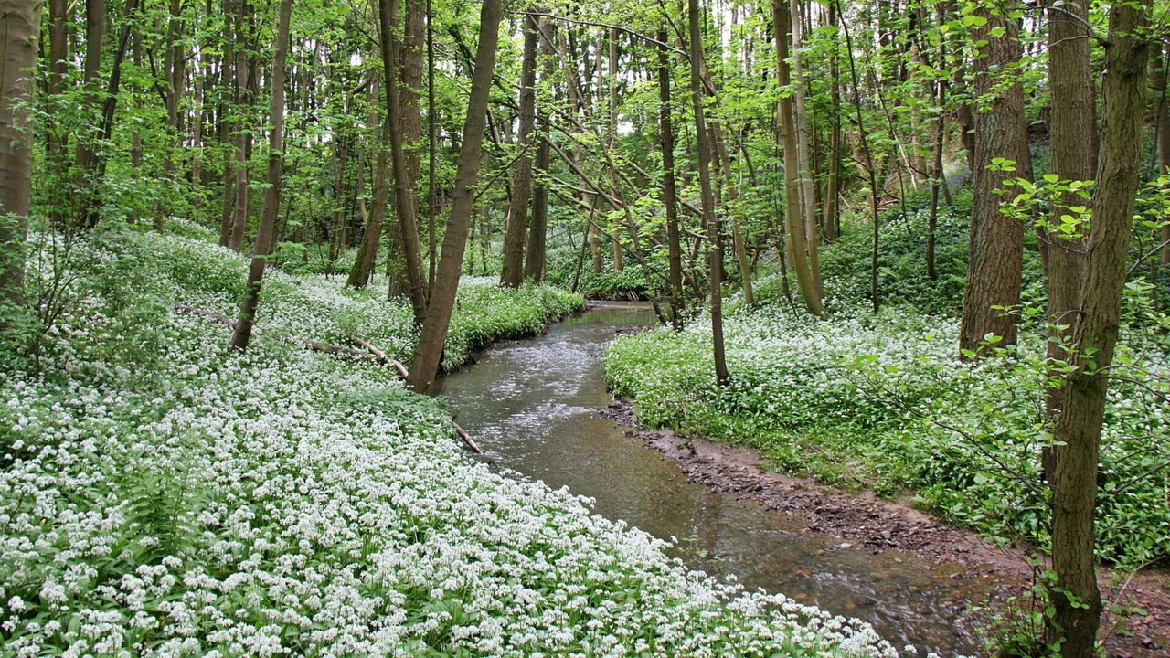Photo of Outdoor in Great Broughton