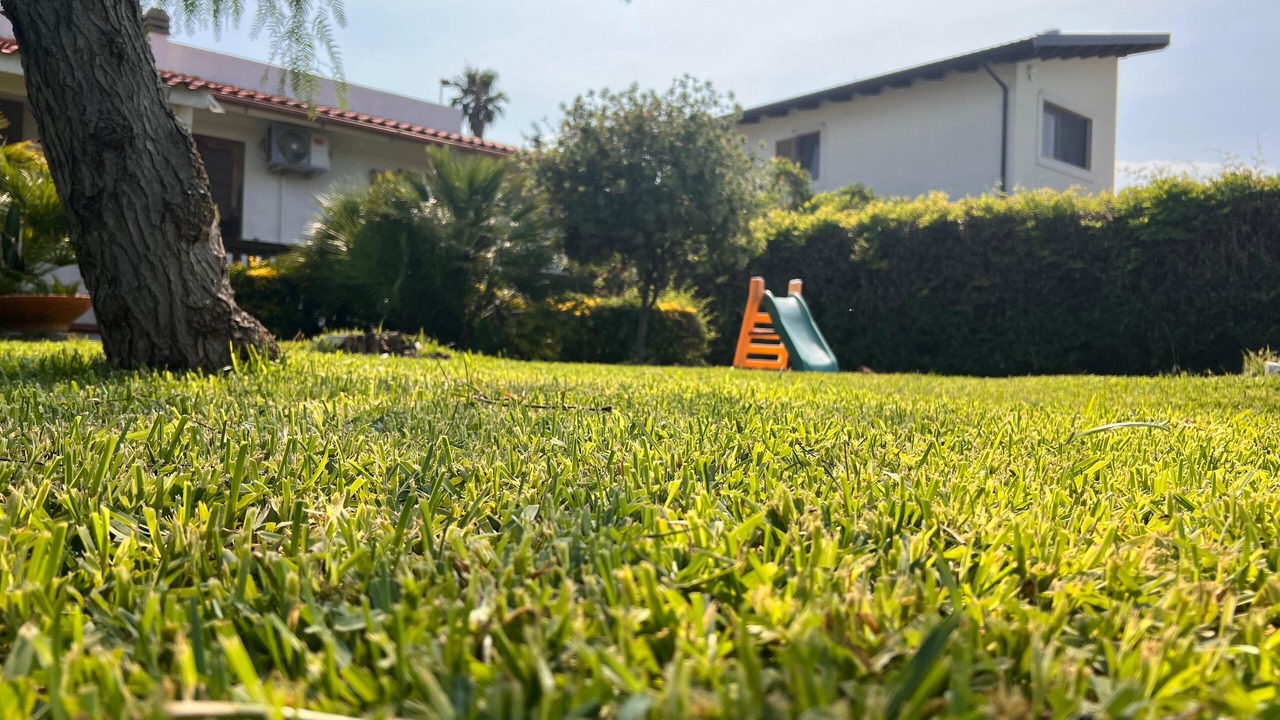 Photo of Outdoor in Isola