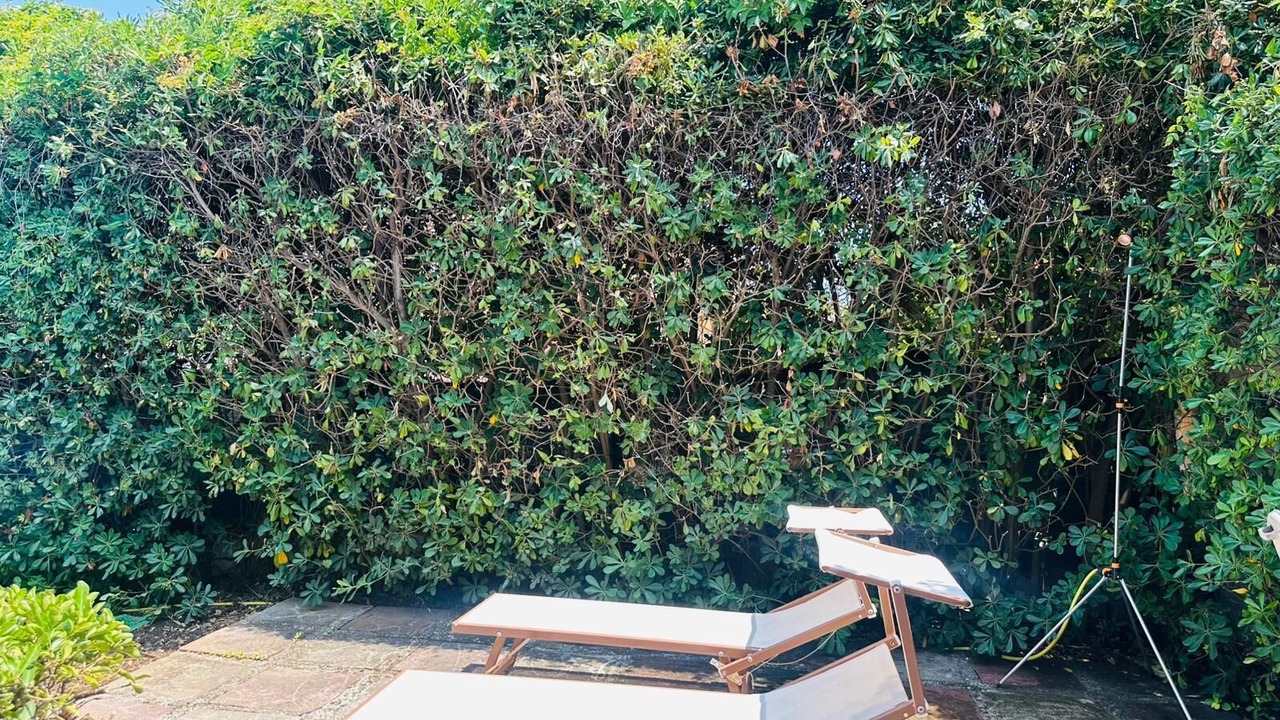Photo of Outdoor in Isola