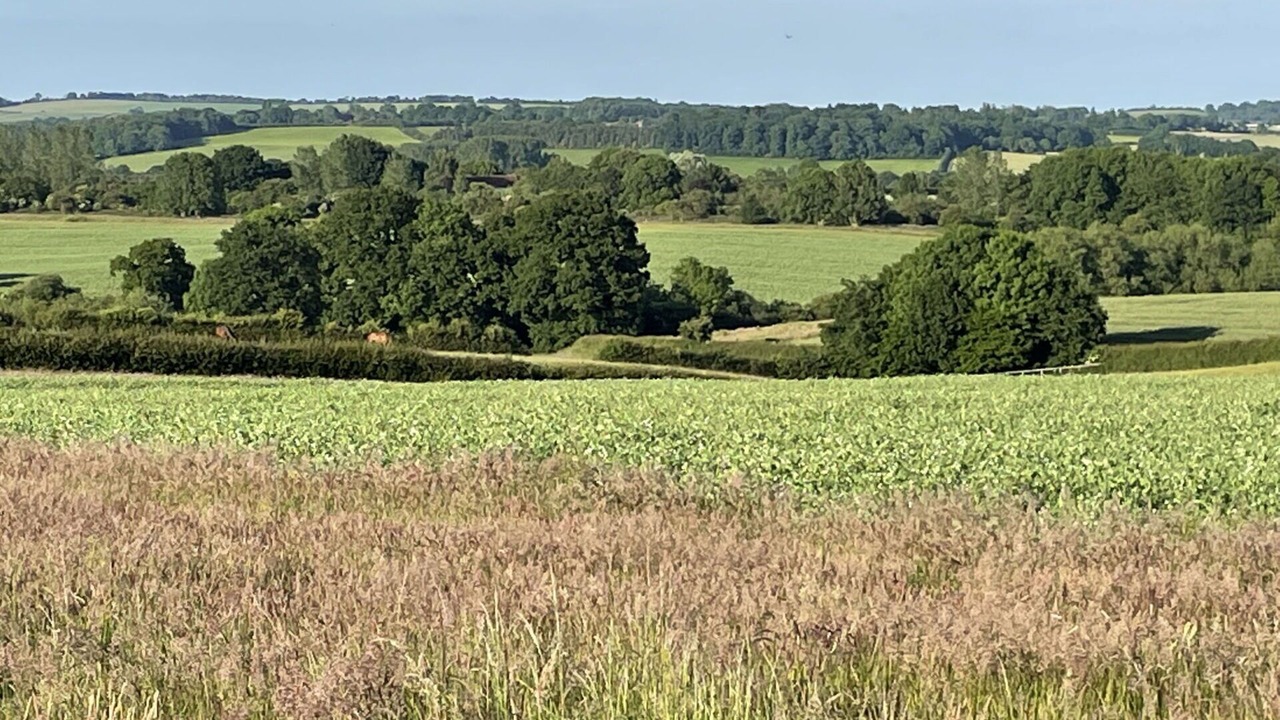 Photo of Others in Cropredy