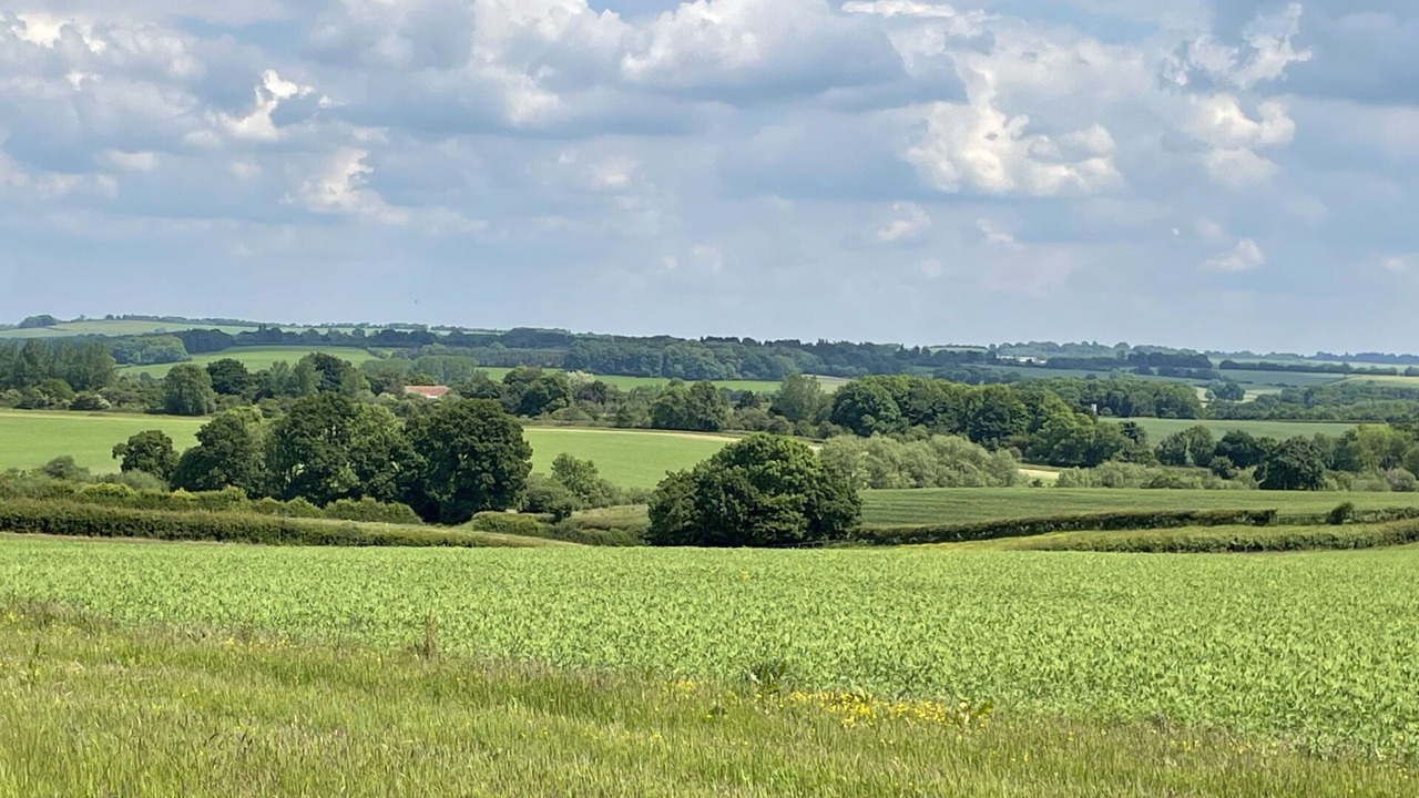 Photo of Others in Cropredy