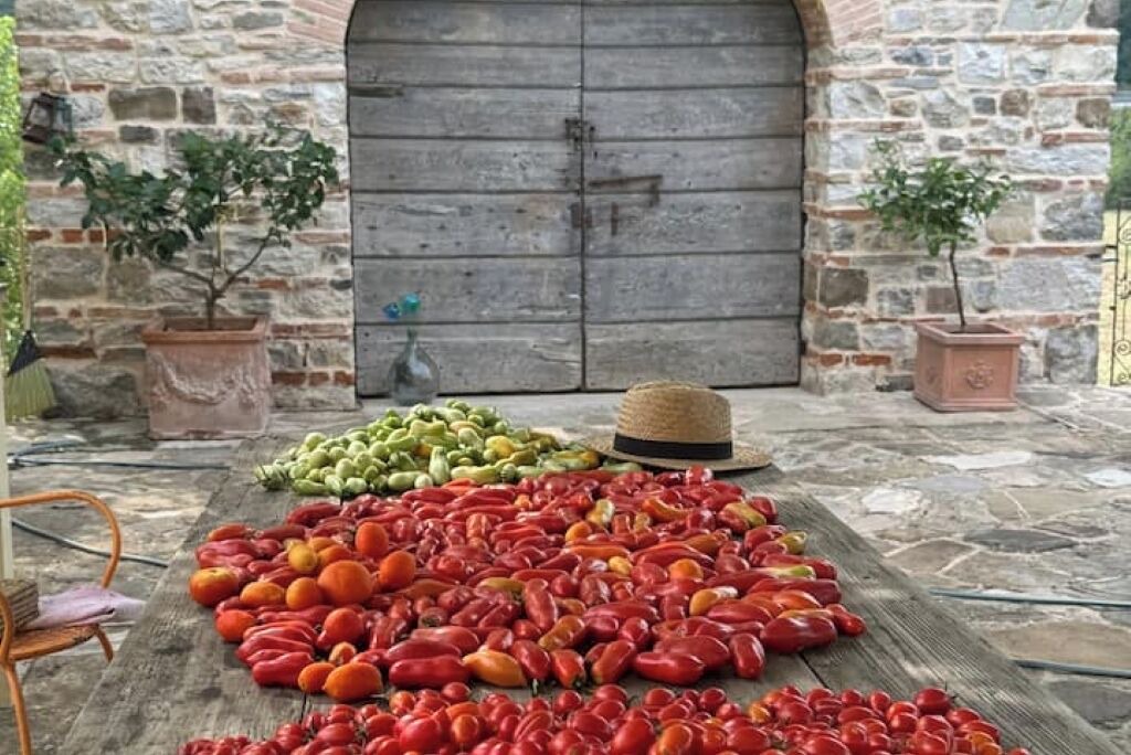 Photo of Outdoor in Twist