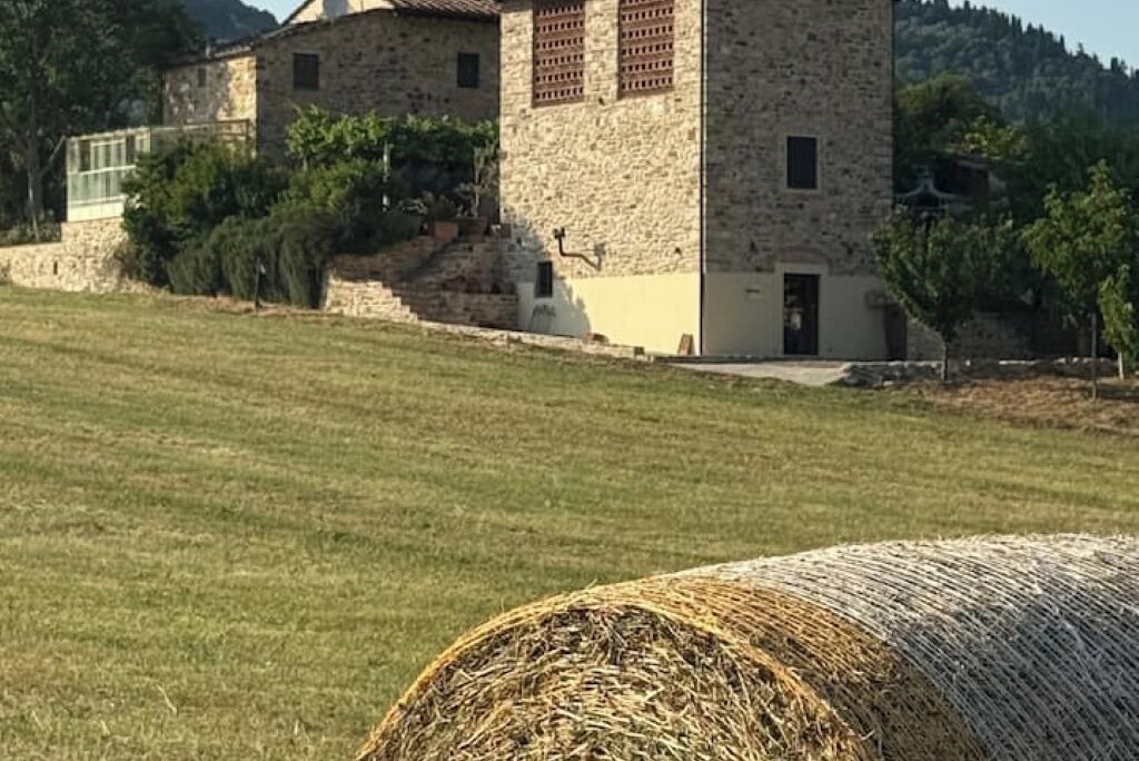Photo of Outdoor in Twist