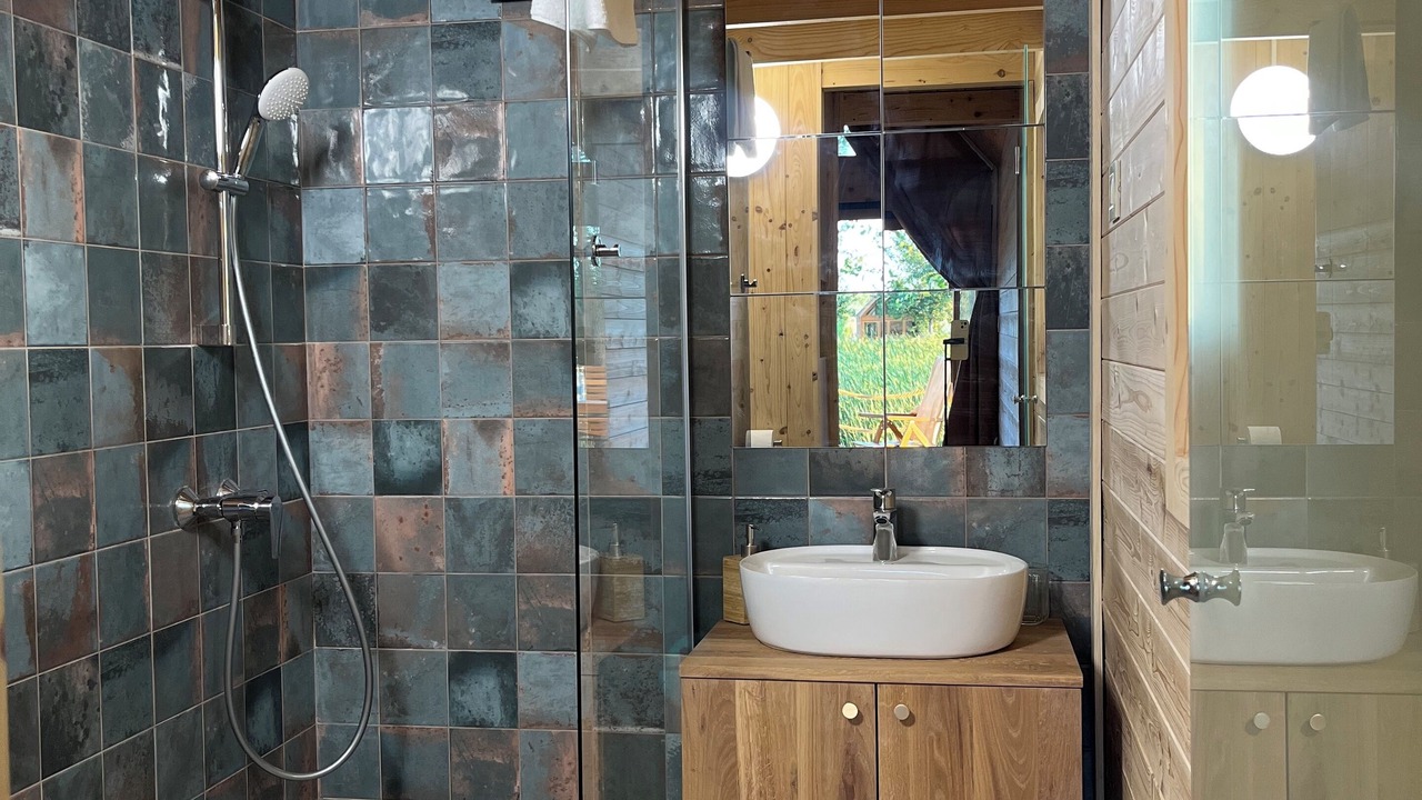 Photo of Bathroom in Kovilj