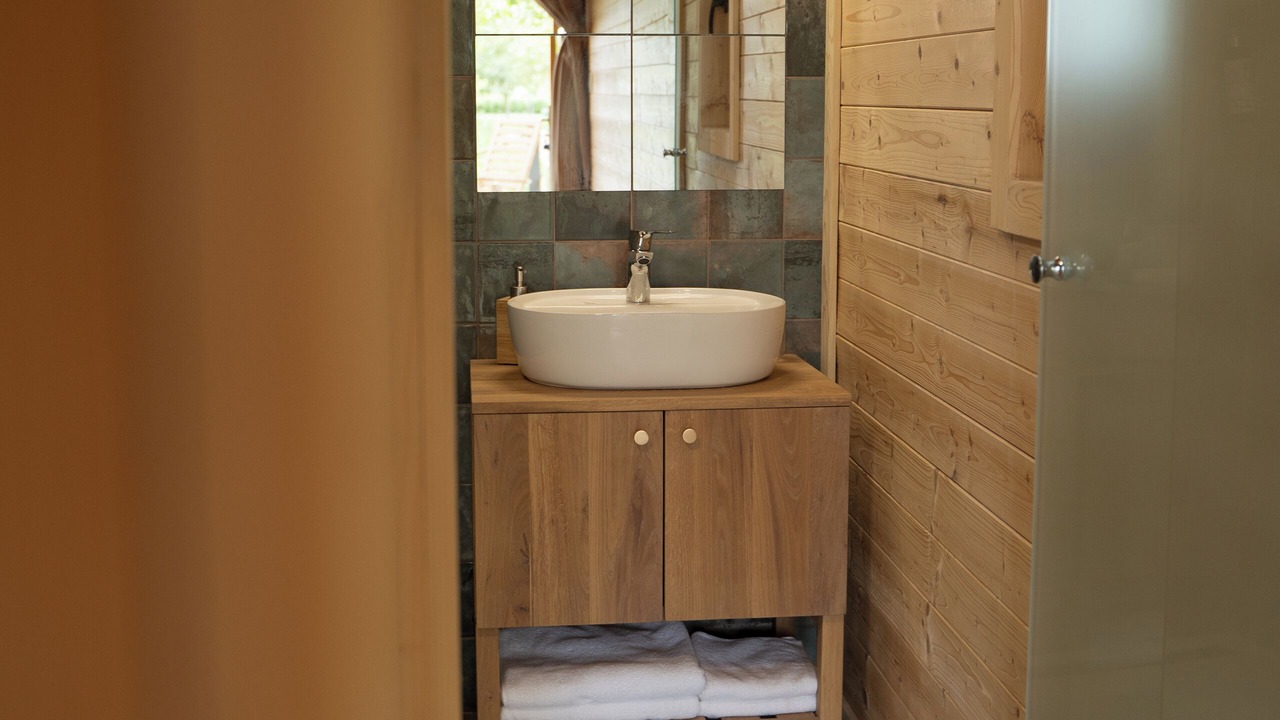 Photo of Bathroom in Kovilj