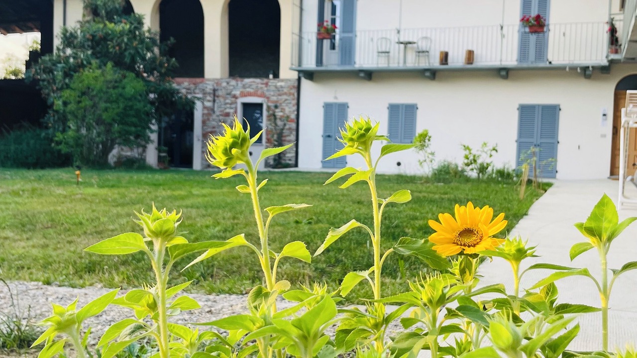 Photo of Outdoor in Rodello