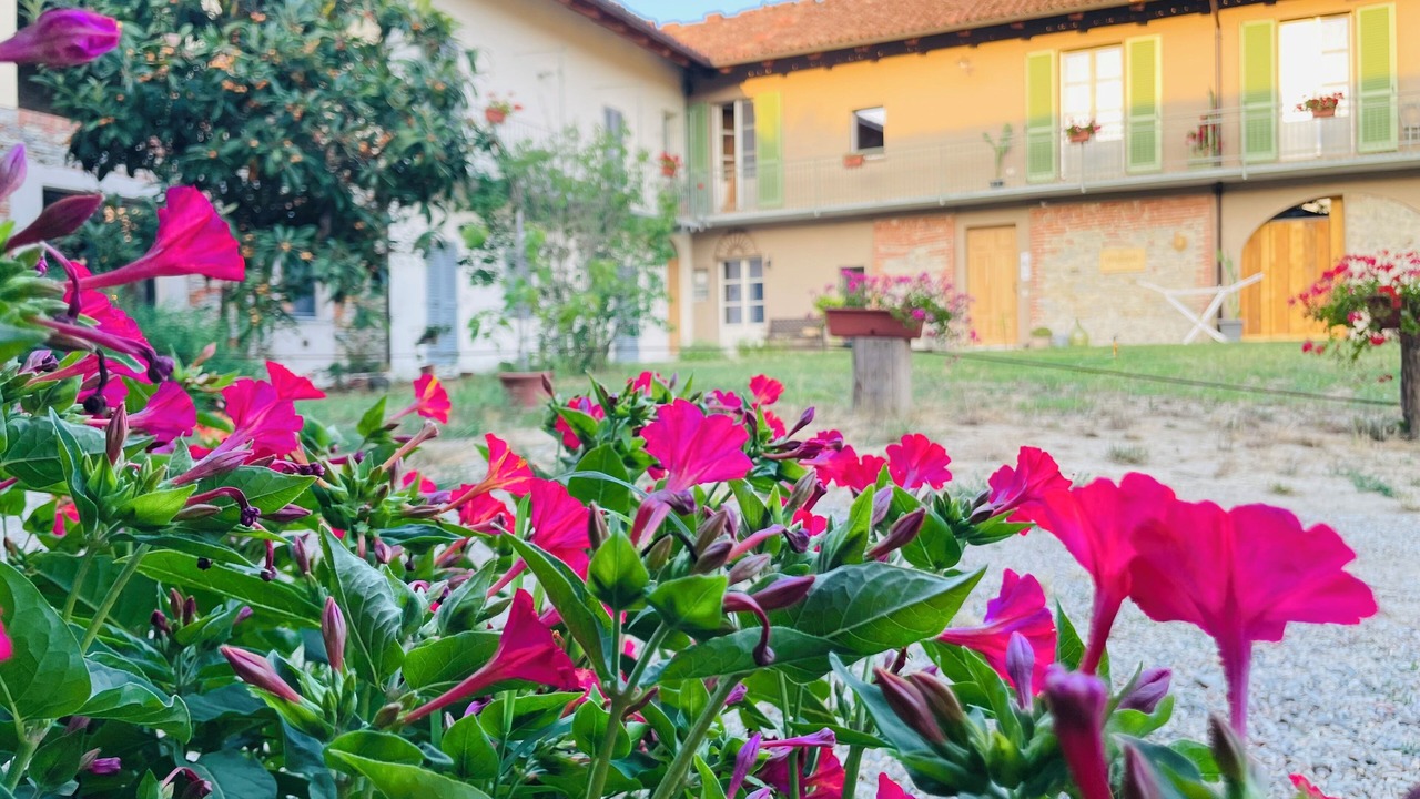 Photo of Outdoor in Rodello