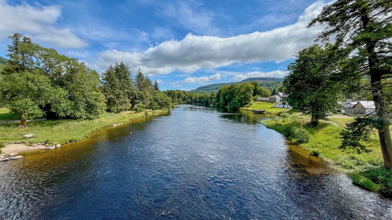 Photo of Others in Kenmore