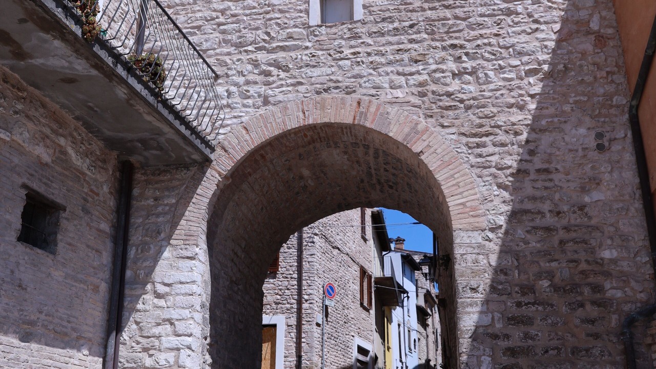 Photo of Others in Pergola