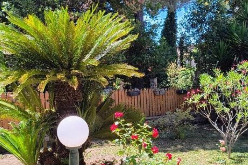 Photo of Outdoor in Poggio