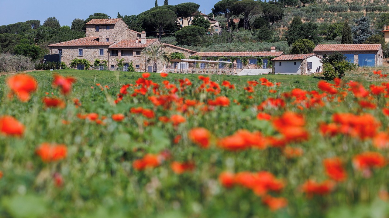 Photo of Outdoor in San Pietro a Cegliolo