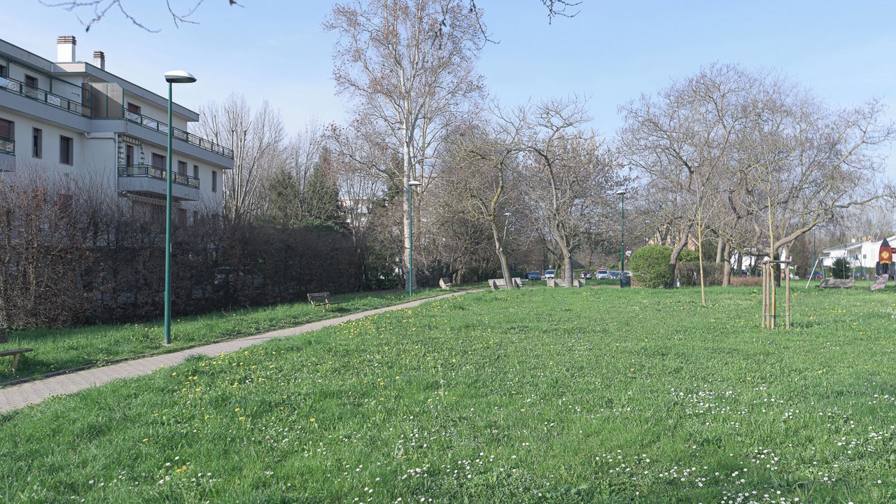 Photo of Outdoor in Favaro Veneto