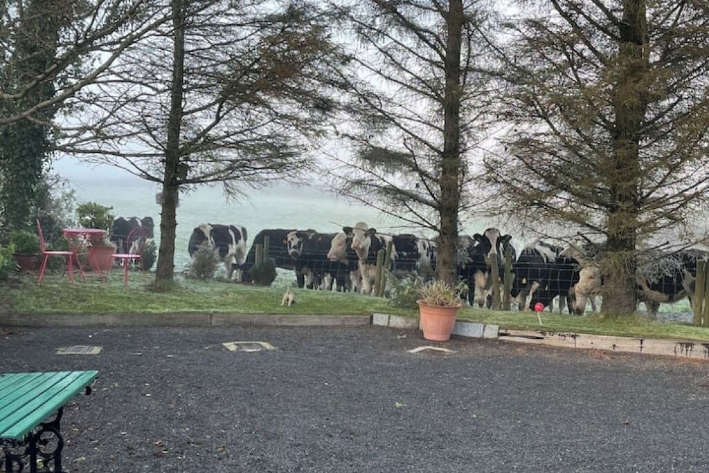 Photo of Others in Newry