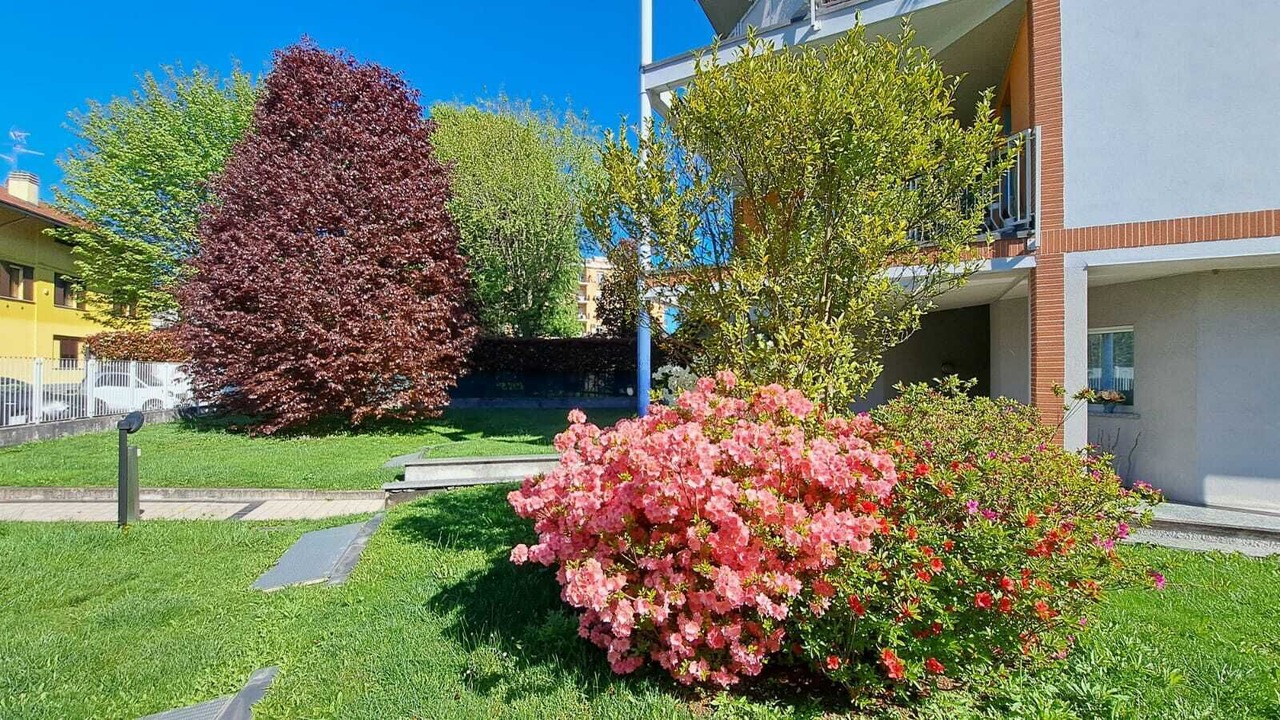 Photo of Outdoor in Castellanza