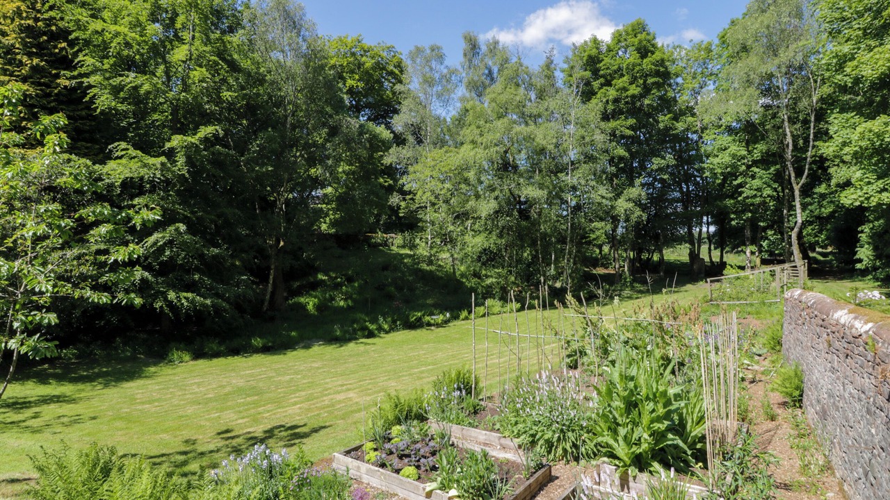 Photo of Outdoor in Thornhill