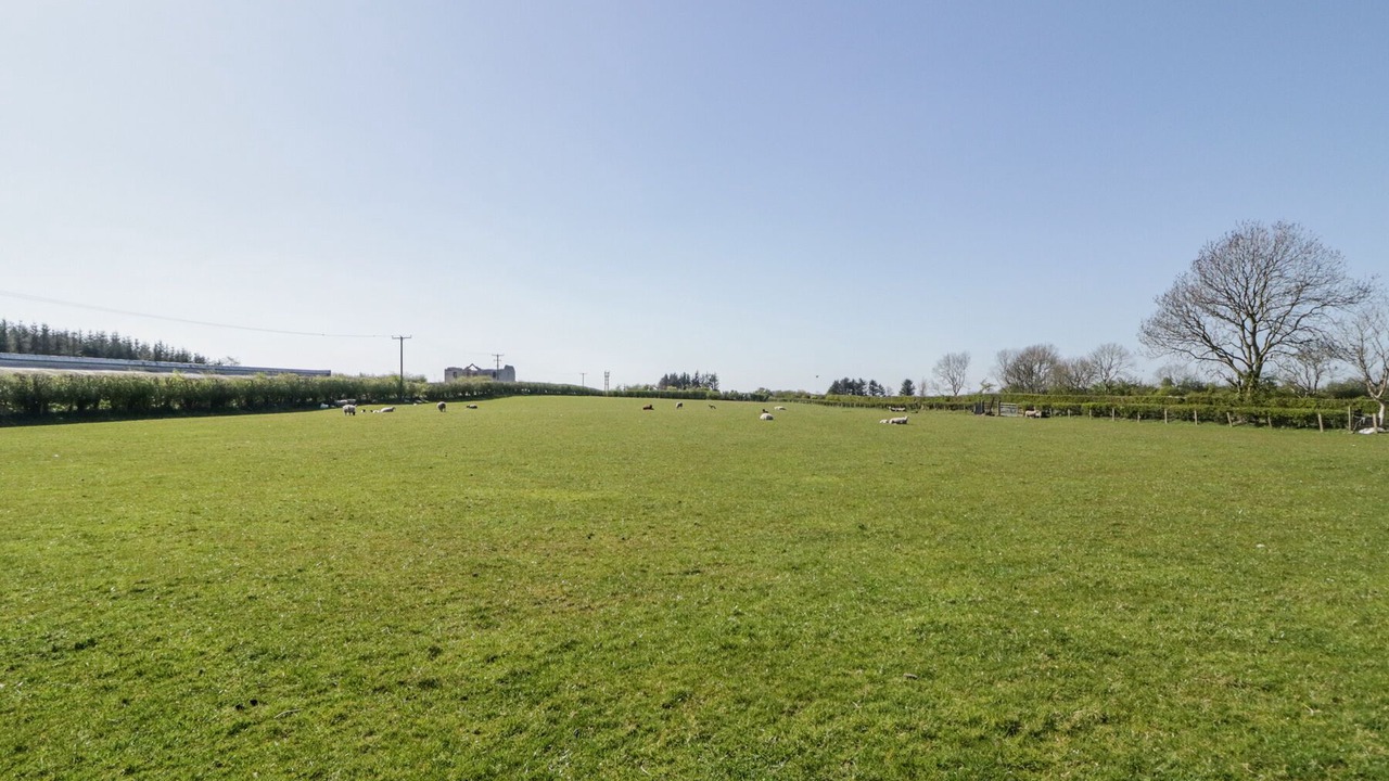 Photo of Others in Ballymoney
