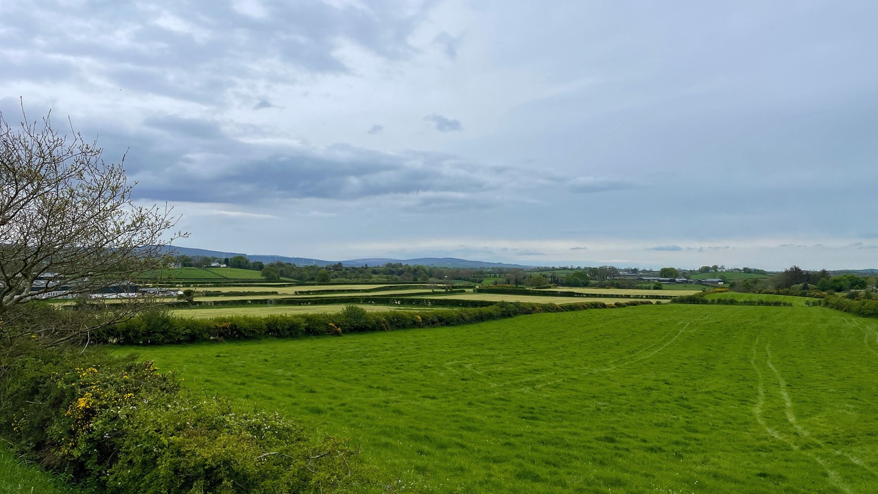 Photo of Others in Armoy