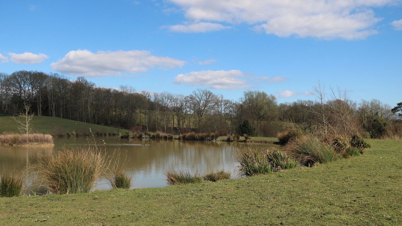 Photo of Others in Hadlow Down