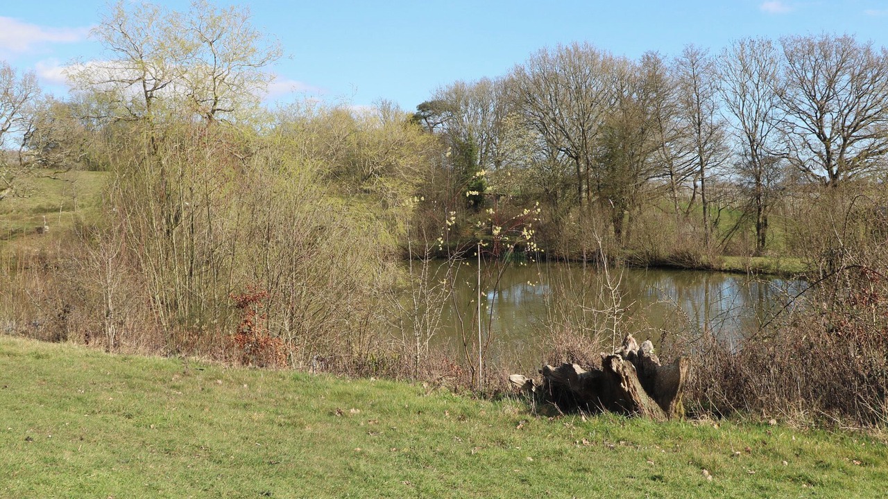 Photo of Others in Hadlow Down