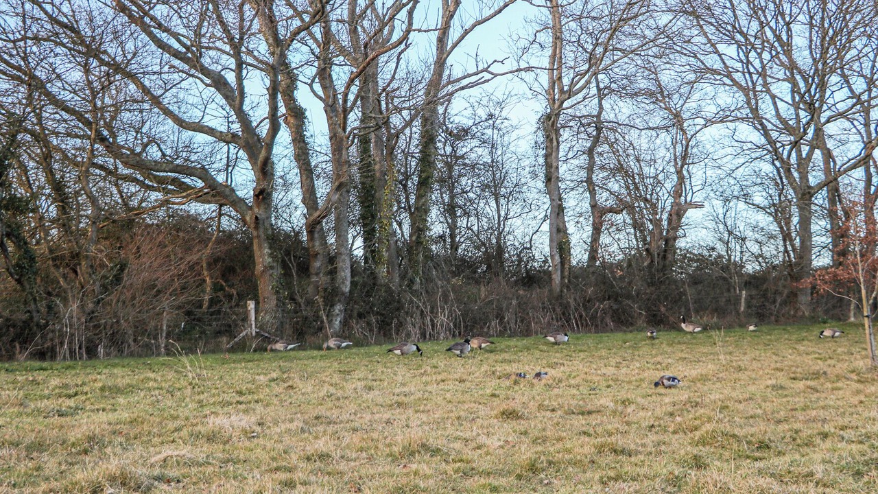 Photo of Others in Hadlow Down