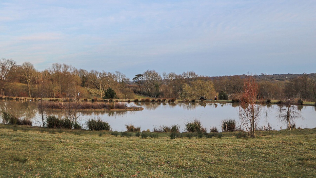 Photo of Others in Hadlow Down