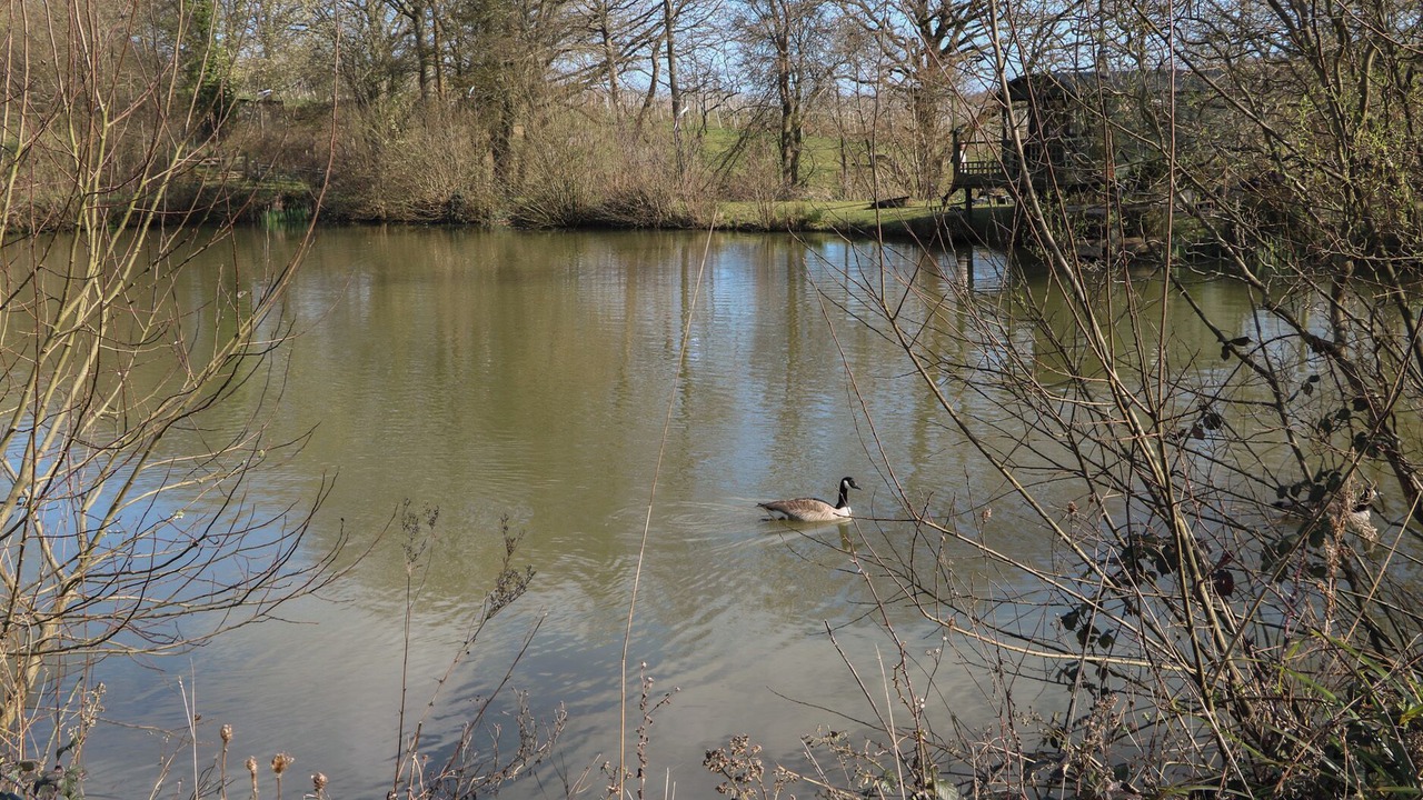 Photo of Others in Hadlow Down