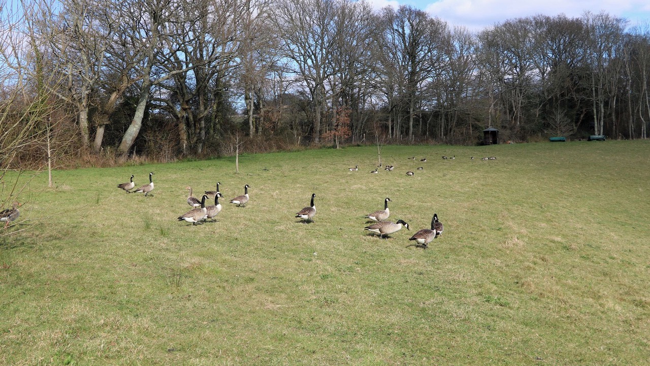 Photo of Others in Hadlow Down