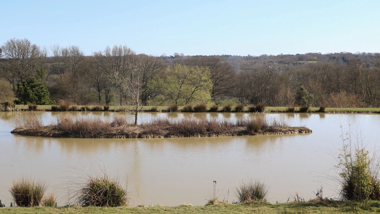 Photo of Others in Hadlow Down