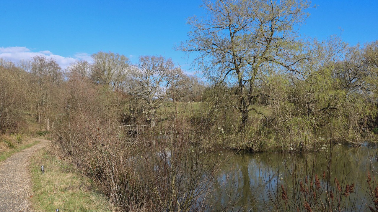 Photo of Others in Hadlow Down