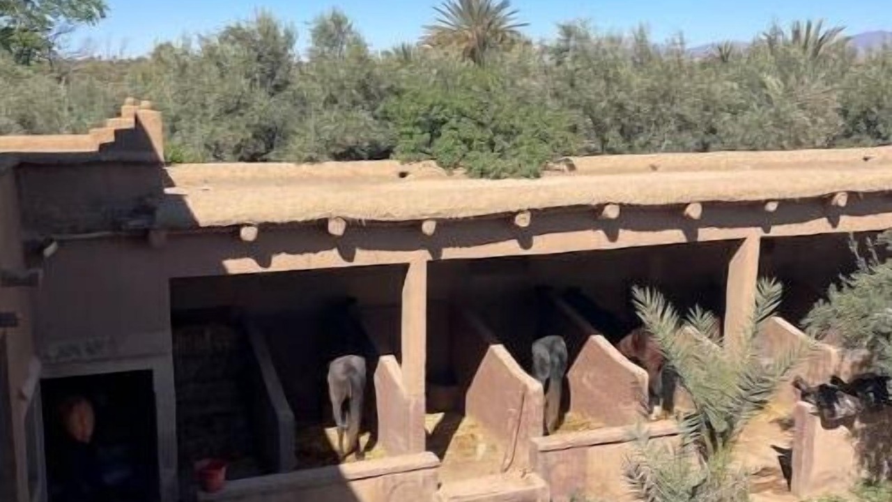 Photo of Outdoor in Skoura