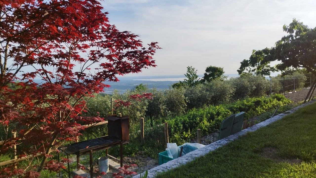 Photo of Outdoor in Sant'Ambrogio di Valpolicella