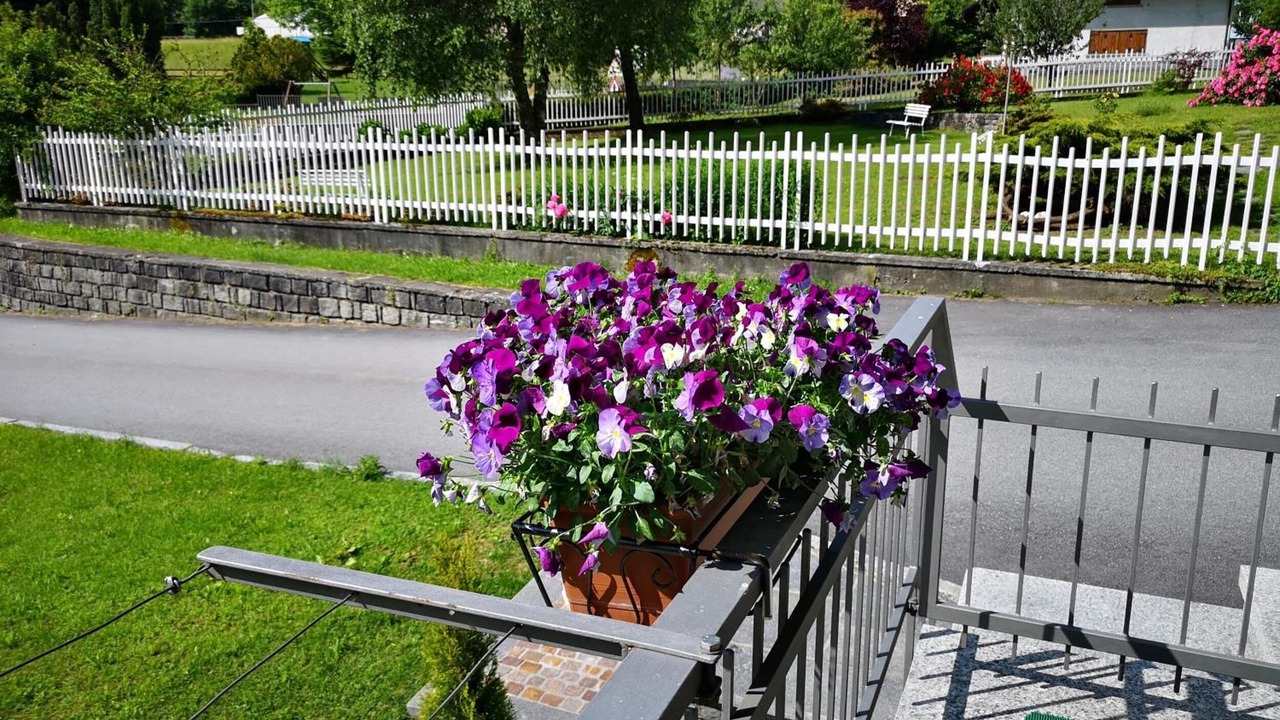 Photo of Outdoor in Croveo