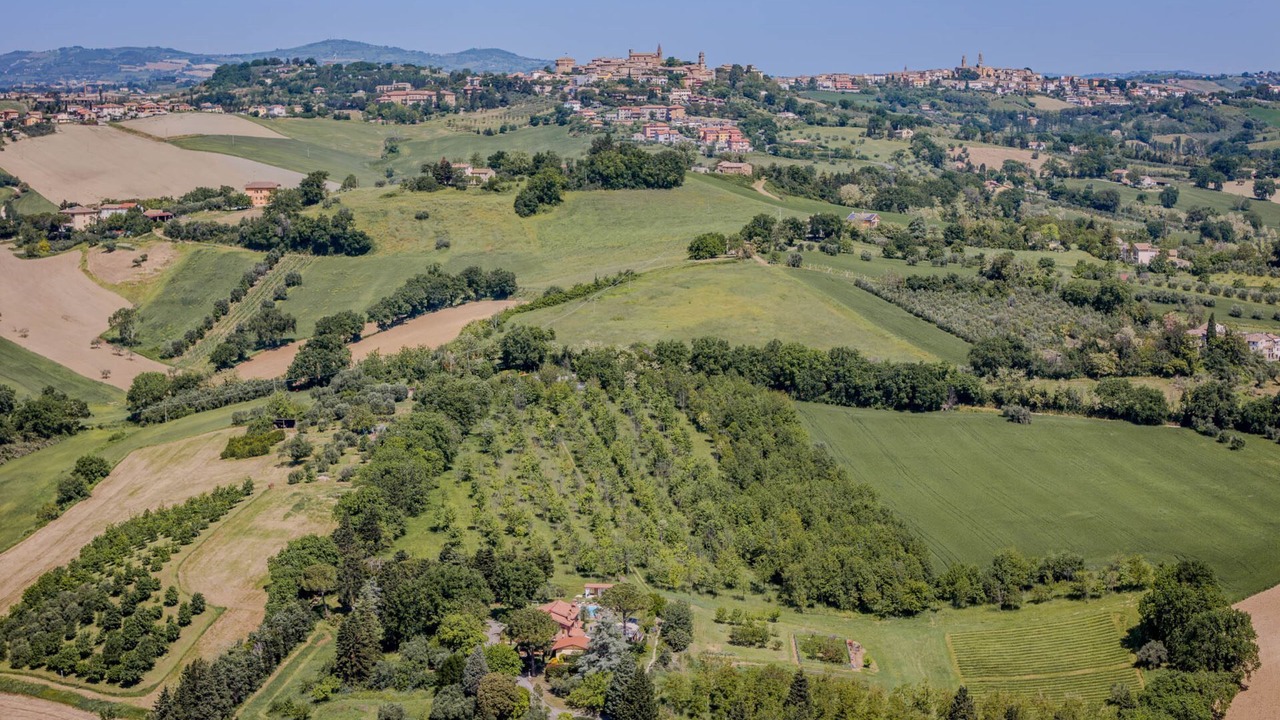 Photo of Outdoor in Mondavio